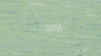 Линолеум Gerflor Linodur Sport 1036 Smooth Green фото 1 | FLOORDEALER